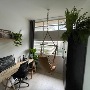 Apartamento Estudio